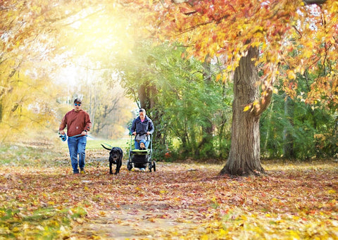 Family Walk in Fall