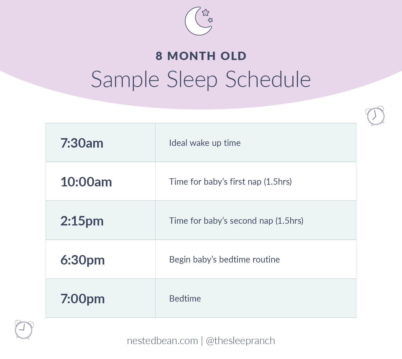 8 month old schedule infographic